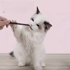 10PCS/15PCS/20PCS Cat-snack Polygonum natural polygonum stick molar stick thin rod polygonum Deals 4 U Deals 4 U
