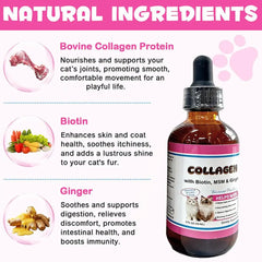 Tasty Salmon Flavor Liquid Collagen For Cats Daily Dietary Supplement For Healthy Skin Coat Stronger Joints Immunity Drops 60ML Deals 4 U Deals 4 U