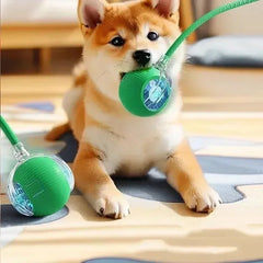 1~3pcs Cat Interactive Ball Toy Automatic Rolling Ball Tail Rechargeable Smart Pet Electric Toy Dog Cat Training Imitate Mouse Deals 4 U Deals 4 U