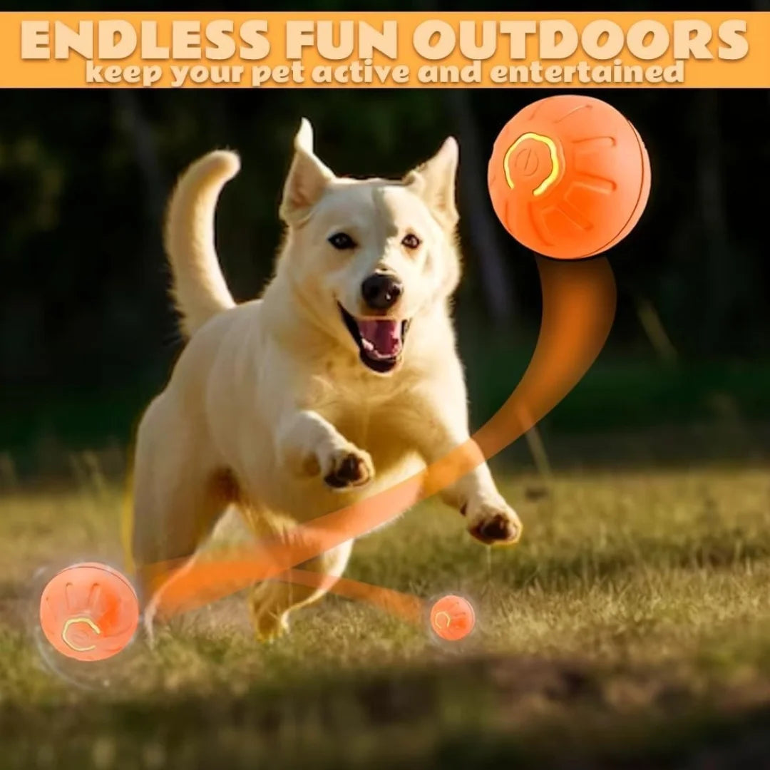 Smart Bouncing Electric Pet Ball, Automatic Random Motion Toy, Durable Chew-Resistant for Cats and Dogs Deals 4 U Deals 4 U