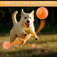 Smart Bouncing Electric Pet Ball, Automatic Random Motion Toy, Durable Chew-Resistant for Cats and Dogs Deals 4 U Deals 4 U