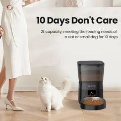 ROJECO Automatic Pet Feeder Button Version Auto Cat Food Dispenser Accessories Smart Control Pet Feeder For Cats Dog Dry Food Deals 4 U Automatic Pet Feeder Deals 4 U