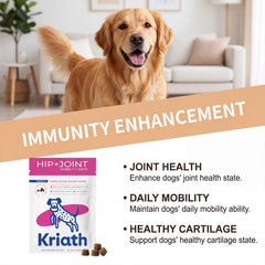 Dog Joint Supplement Soft Chews Cartilage Care Immune Boost Mobility Support Joint Care Support Immune System For All Ages Puppy Deals 4 U Deals 4 U