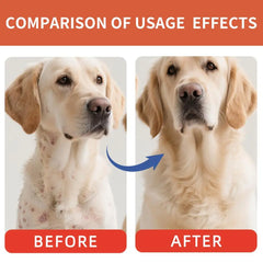 1/2/3PCS Bacon Taste Pet Mushroom Powder Natural High-Grade Ingredient Appetite Enhancer for Picky Cats Dogs Daily Nutrition Deals 4 U Deals 4 U