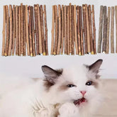 10PCS/15PCS/20PCS Cat-snack Polygonum natural polygonum stick molar stick thin rod polygonum Deals 4 U pets Deals 4 U