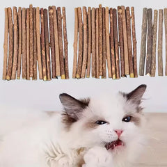 10PCS/15PCS/20PCS Cat-snack Polygonum natural polygonum stick molar stick thin rod polygonum Deals 4 U Deals 4 U