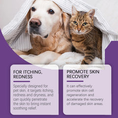 Pet Skin Care Cream Dry Itchy Skin Soothing Lotion For Dogs And Cats Itchy Skin Relief Cream For Cats Paw Lotion Soothing Balm Deals 4 U Deals 4 U