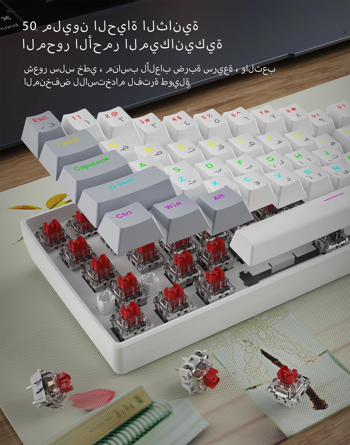 60% Portable Mini RGB Backlit Red-Headed Mechanical Wired Keyboard, suitable for Windows computers, laptops and gaming devices