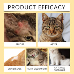 Pet Fish Oil Nutritional Supplement Relieve Dry Skin Smooth Shiny Boost Immunity Support Joint Health Pet Body Care Tablet 60pcs Deals 4 U Deals 4 U