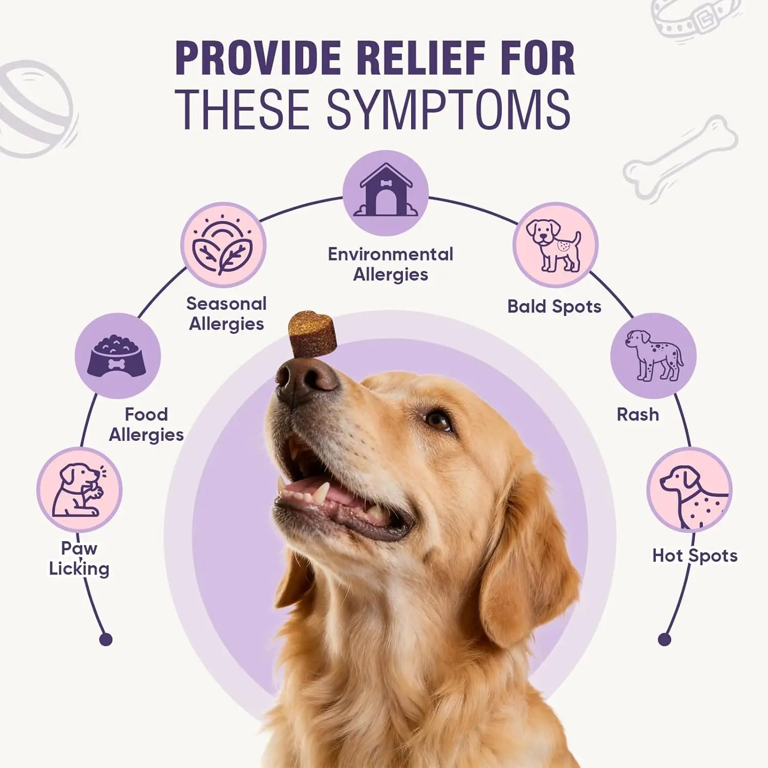 200ct Dog Allergy Chews Supplements Relief Itchy Chew Probiotics Vitamins for Skin Coat Anti Itch Immune for Dogs Paws Treatment Deals 4 U   Deals 4 U