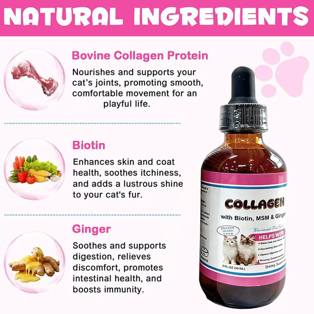 Tasty Salmon Flavor Liquid Collagen For Cats Daily Dietary Supplement For Healthy Skin Coat Stronger Joints Immunity Drops 60ML Deals 4 U   Deals 4 U