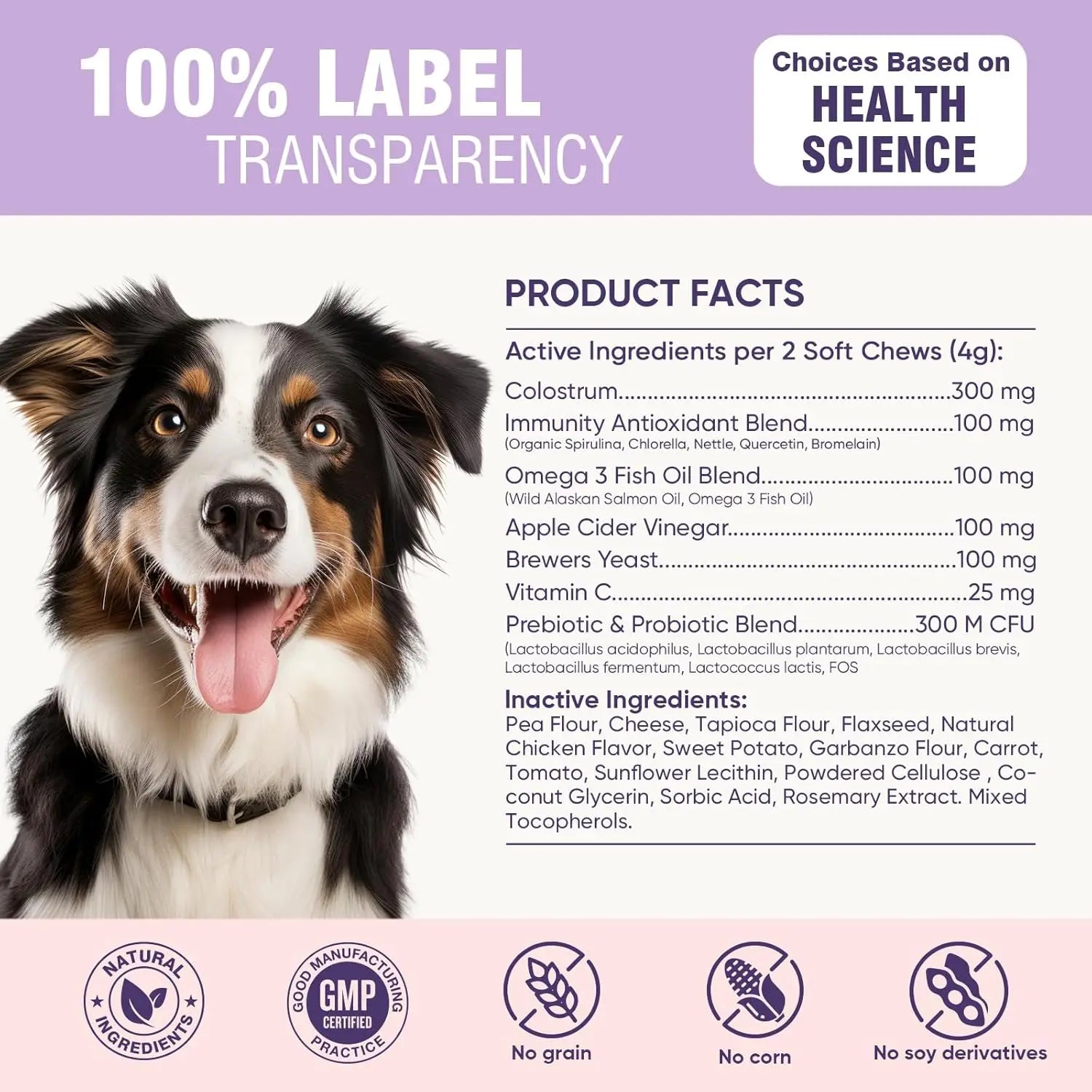 200ct Dog Allergy Chews Supplements Relief Itchy Chew Probiotics Vitamins for Skin Coat Anti Itch Immune for Dogs Paws Treatment Deals 4 U   Deals 4 U