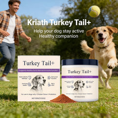Kriath Pet Nutrition Powder Support Heart Health Promoting Intestinal Digestion Function Protect Joints Normal Lmmune Function Deals 4 U   Deals 4 U