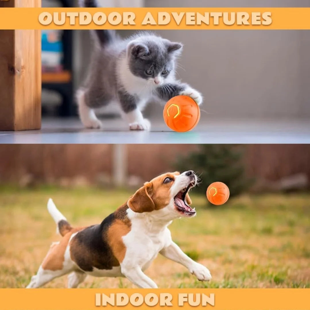 Smart Bouncing Electric Pet Ball, Automatic Random Motion Toy, Durable Chew-Resistant for Cats and Dogs Deals 4 U   Deals 4 U