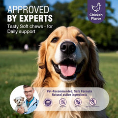 200ct Dog Allergy Chews Supplements Relief Itchy Chew Probiotics Vitamins for Skin Coat Anti Itch Immune for Dogs Paws Treatment Deals 4 U   Deals 4 U
