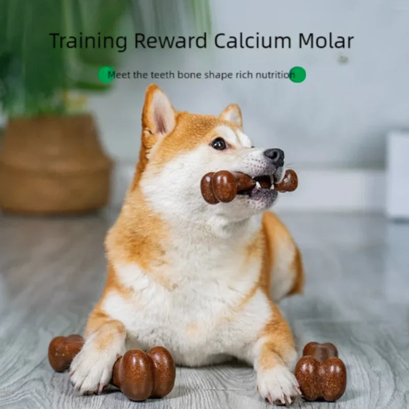 Natural Non-Toxic Dog Bone Chew Toy Nearly Indestructible Anti-Bite Puppy Chew Toy for Small Medium Large Dogs Pet Chew Toy Deals 4 U   Deals 4 U