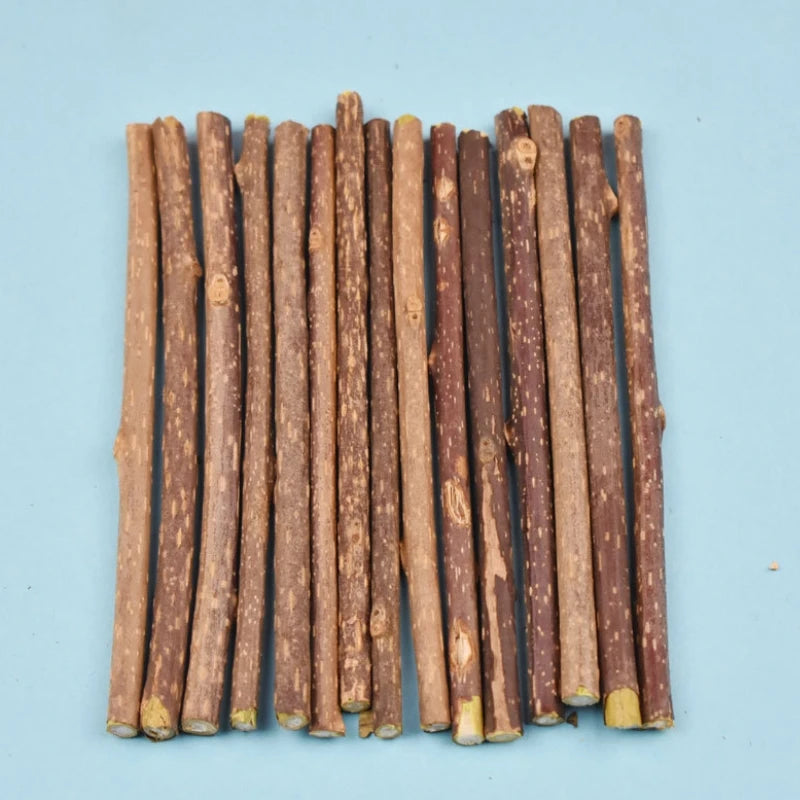 10PCS/15PCS/20PCS Cat-snack Polygonum natural polygonum stick molar stick thin rod polygonum Deals 4 U   Deals 4 U