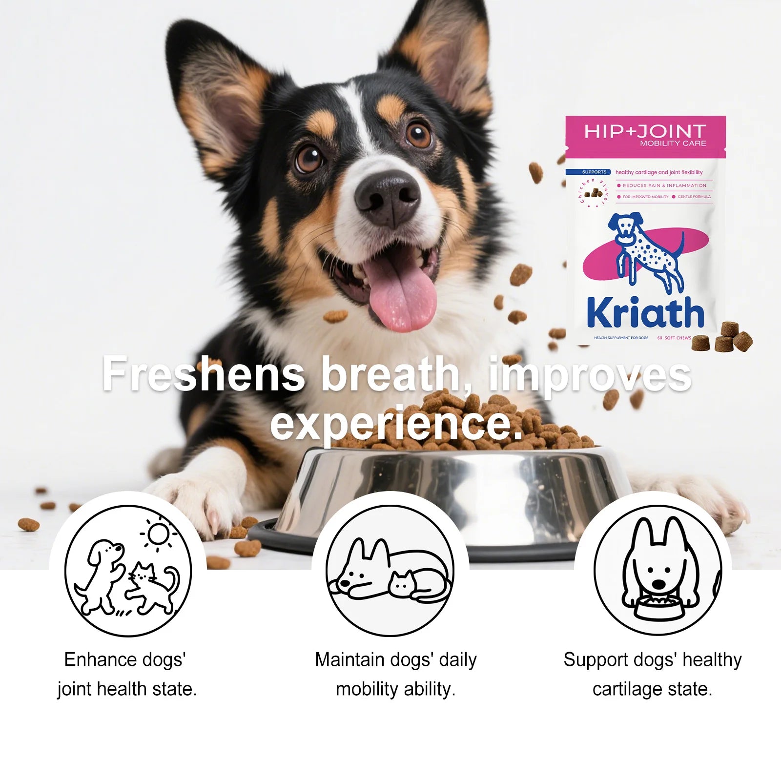 Dog Joint Supplement Soft Chews Cartilage Care Immune Boost Mobility Support Joint Care Support Immune System For All Ages Puppy Deals 4 U   Deals 4 U