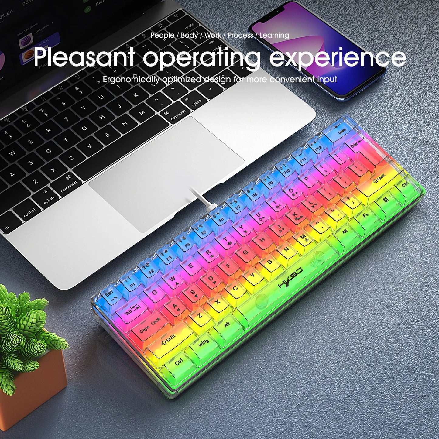 HXSJ 60% Wired Transparent Gaming Keyboard, RGB Backlit Ultra-Compact Waterproof Small Compact 61 Keys Keyboard for PC/Mac