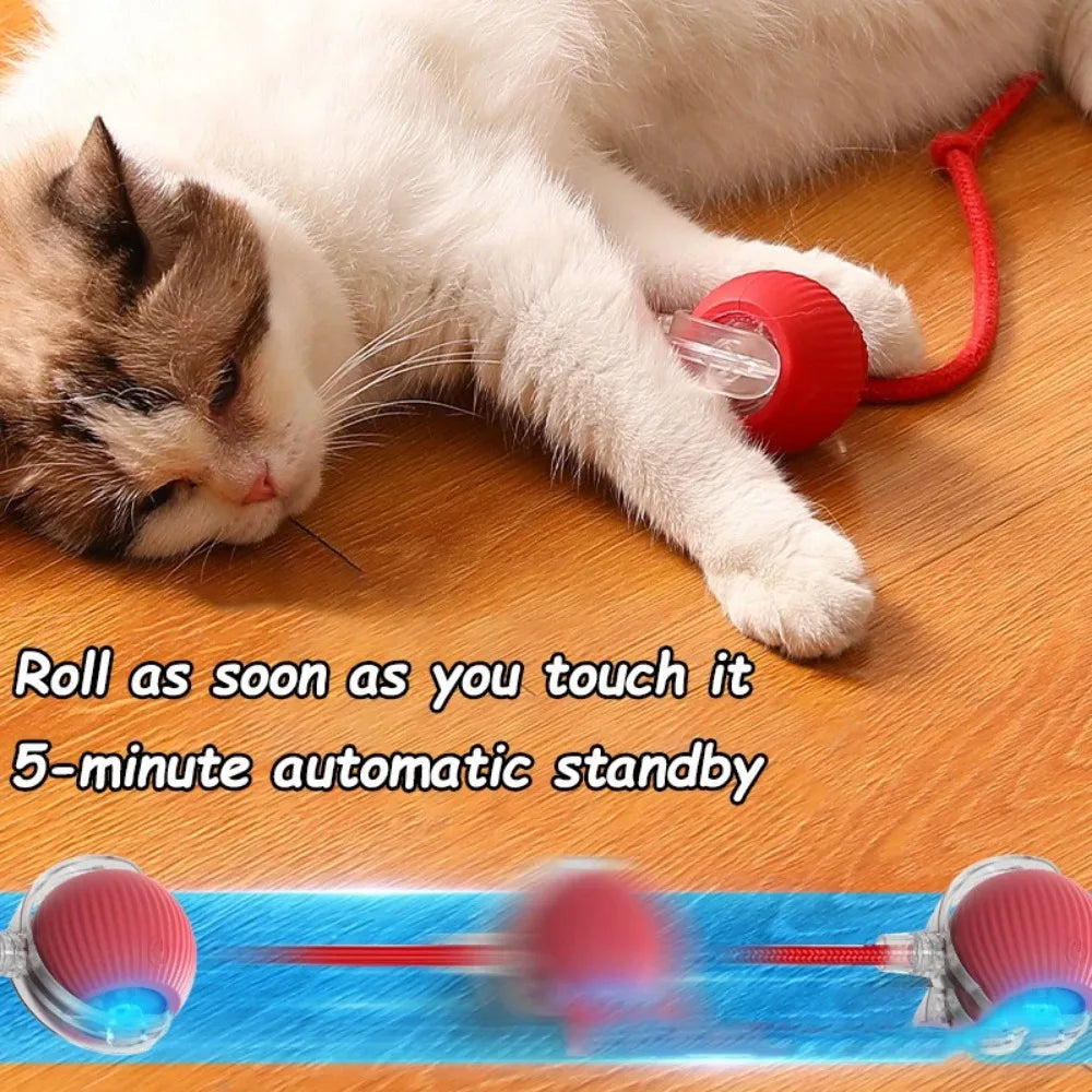New Cat Interactive Ball Toy Automatic Rolling Ball Faux Tail Rechargeable Smart Pet Electric Toy Dog Cat Training Imitate Mouse Deals 4 U  Smart Pet Toy Deals 4 U