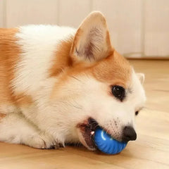 Dog Toy Ball Automatic Moving Bouncing Rolling Ball USB Smart puppy Interactive Dog Chew Toy Ball Deals 4 U   Deals 4 U