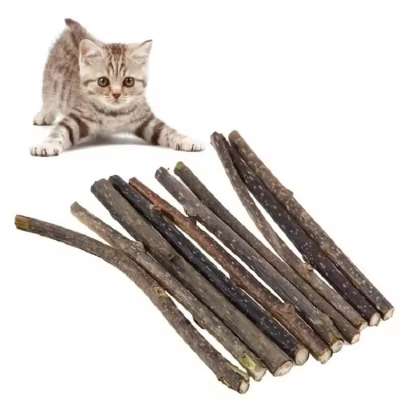 10PCS/15PCS/20PCS Cat-snack Polygonum natural polygonum stick molar stick thin rod polygonum Deals 4 U   Deals 4 U