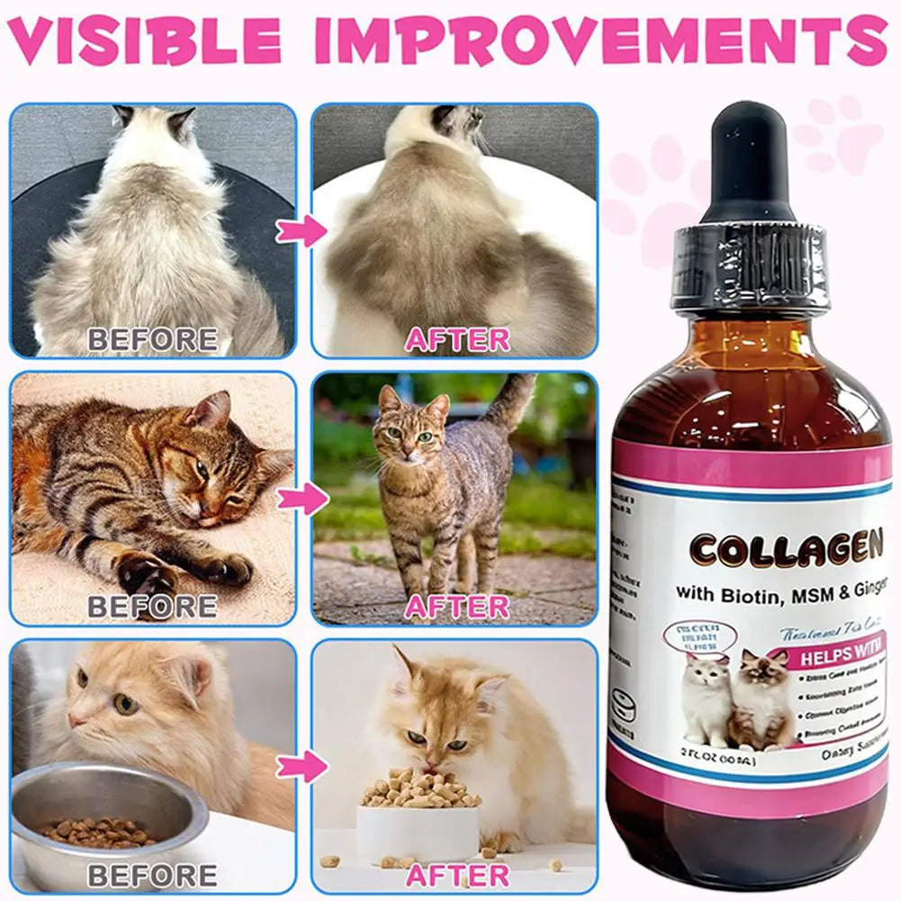 Tasty Salmon Flavor Liquid Collagen For Cats Daily Dietary Supplement For Healthy Skin Coat Stronger Joints Immunity Drops 60ML Deals 4 U   Deals 4 U