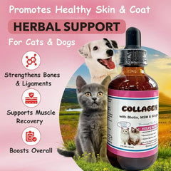 Tasty Salmon Flavor Liquid Collagen For Cats Daily Dietary Supplement For Healthy Skin Coat Stronger Joints Immunity Drops 60ML Deals 4 U   Deals 4 U