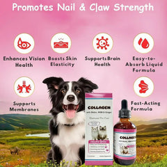 Tasty Salmon Flavor Liquid Collagen For Cats Daily Dietary Supplement For Healthy Skin Coat Stronger Joints Immunity Drops 60ML Deals 4 U   Deals 4 U