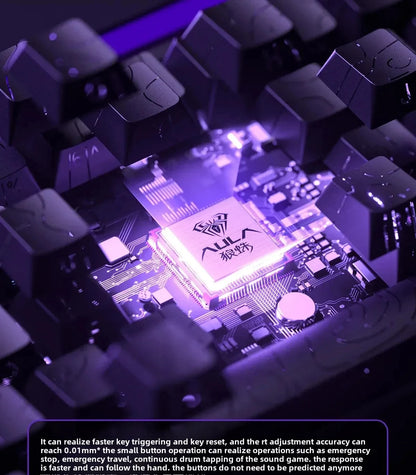 AULA HERO 68HE Magnetic Switch Gaming Keyboard RT0.01 E-sports Customize RGB Wired Mechanical Keyboard Ergonomics Accessories