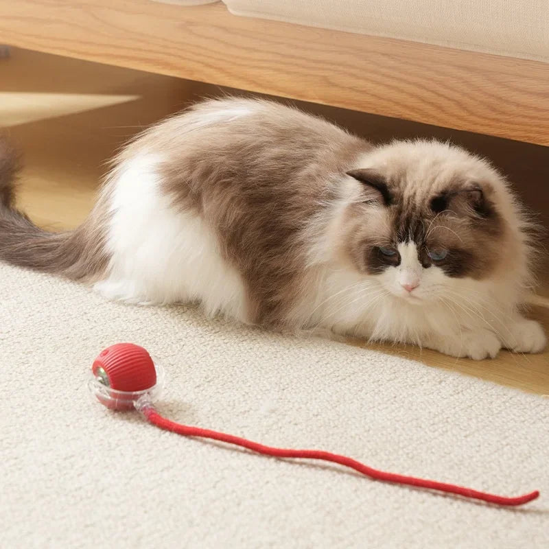 1~3pcs Cat Interactive Ball Toy Automatic Rolling Ball Tail Rechargeable Smart Pet Electric Toy Dog Cat Training Imitate Mouse Deals 4 U   Deals 4 U