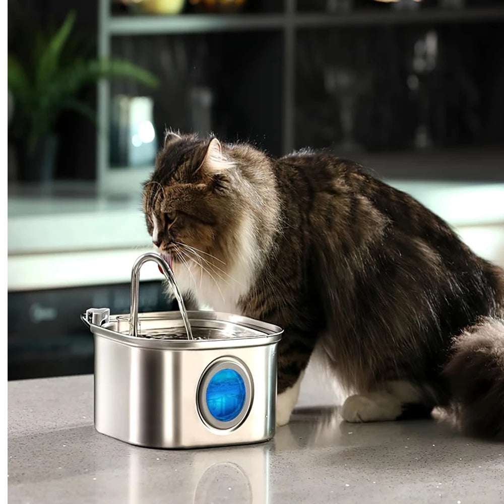 ZYFeeder 2.2L Automatic Cat Water Fountain Square Stainless Steel Pet Water Feeder Dog Water Fountain with window（No 5V 1A Plug） Deals 4 U   Deals 4 U