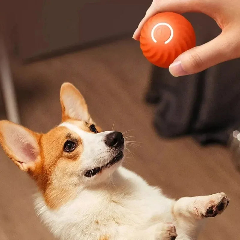 Dog Toy Ball Automatic Moving Bouncing Rolling Ball USB Smart puppy Interactive Dog Chew Toy Ball Deals 4 U   Deals 4 U