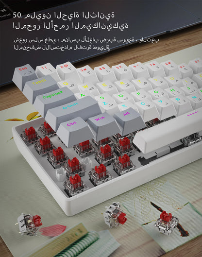 60% Portable Mini RGB Backlit Red-Headed Mechanical Wired Keyboard, suitable for Windows computers, laptops and gaming devices