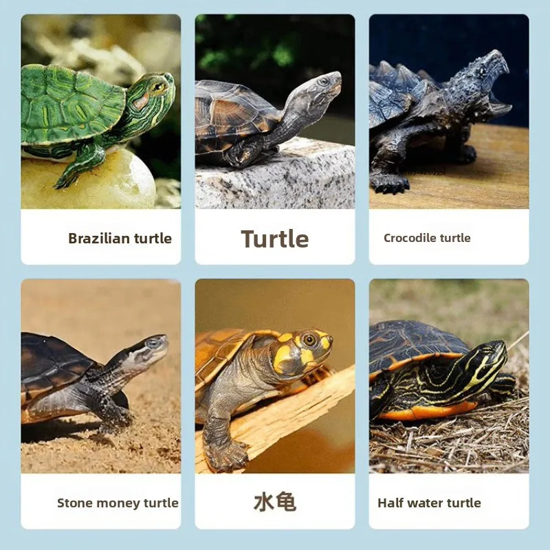 Nai chong Freeze-Dried Freshwater Fish Snacks - All-Natural Treats for Turtles, Cats, Dogs & Small Pets - Nutritional Supplement Deals 4 U   Deals 4 U