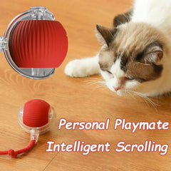 New Cat Interactive Ball Toy Automatic Rolling Ball Faux Tail Rechargeable Smart Pet Electric Toy Dog Cat Training Imitate Mouse Deals 4 U  Smart Pet Toy Deals 4 U