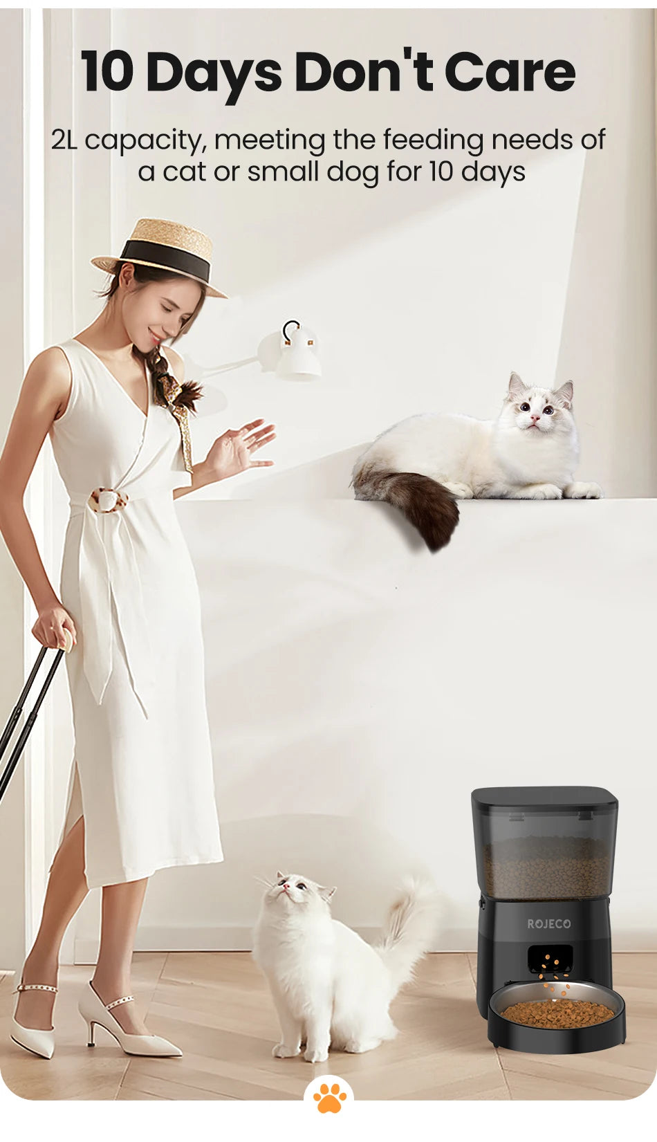 ROJECO Automatic Pet Feeder Button Version Auto Cat Food Dispenser Accessories Smart Control Pet Feeder For Cats Dog Dry Food Deals 4 U  Automatic Pet Feeder Deals 4 U